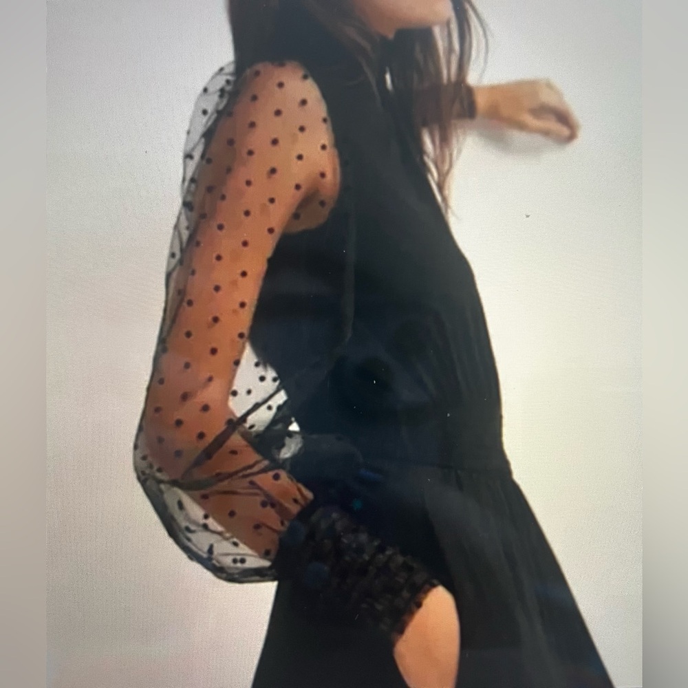 Biden Black midi  Dress with Sheer Polka Dot Sleeves size 4P NWOT